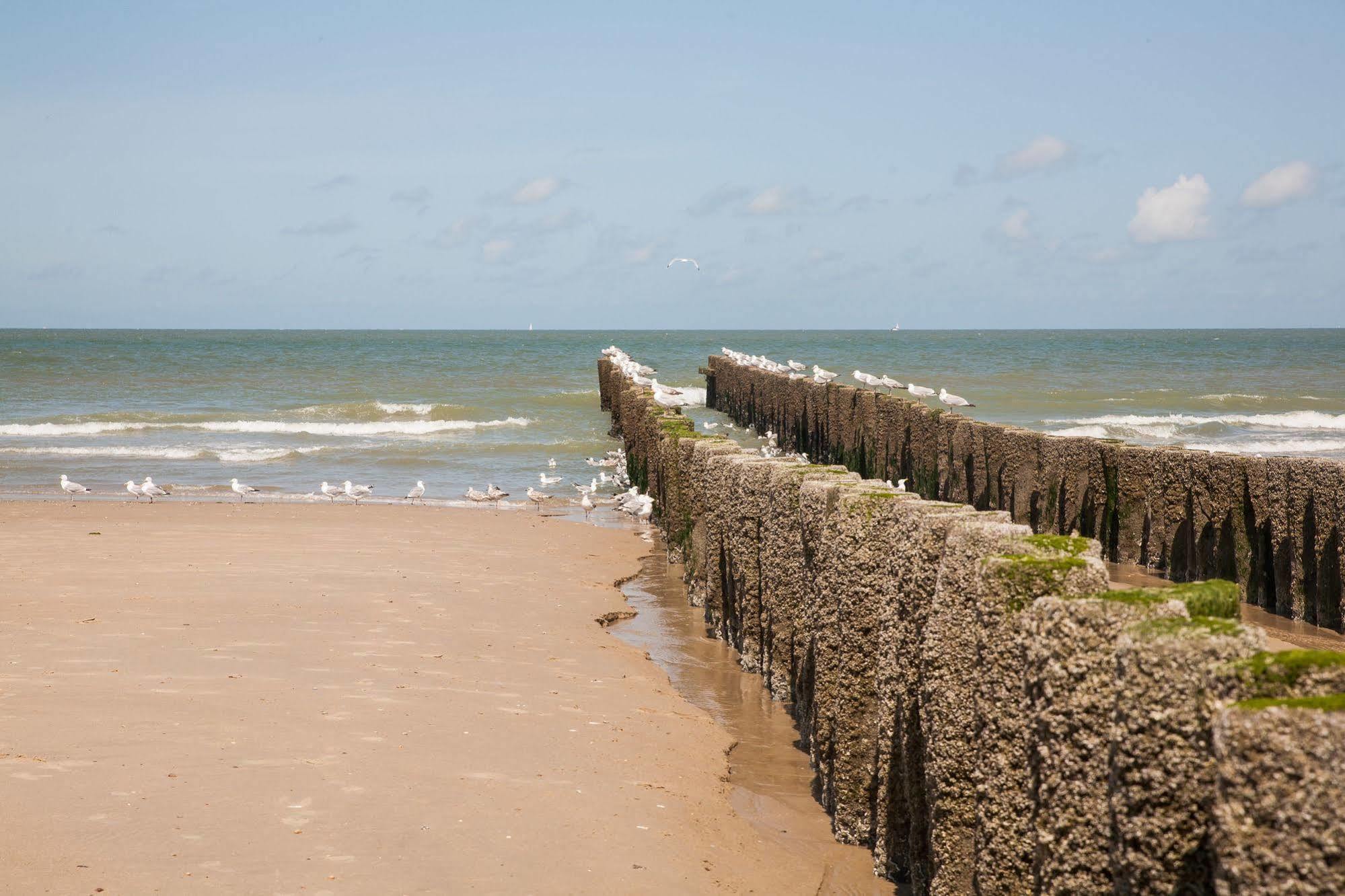 Hotel Domburg4You Exterior photo